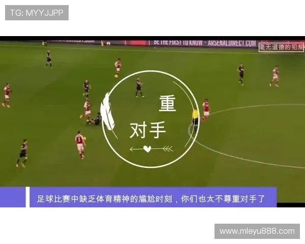 leyu.com：多样化的体育内容提供，从足球到电竞全方位覆盖