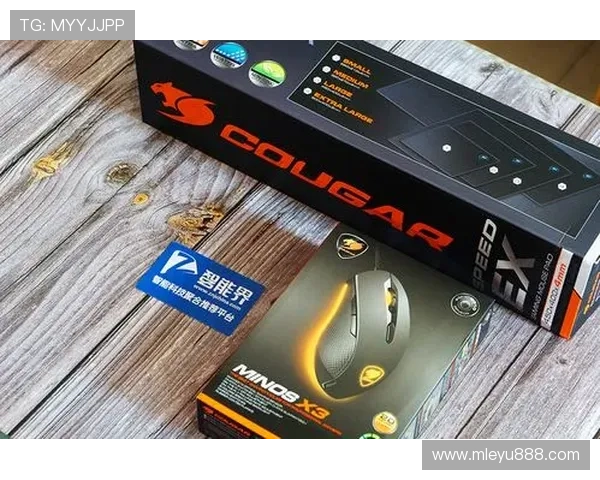 乐鱼电竞登录平台用户指南，保障账号安全享受优质服务