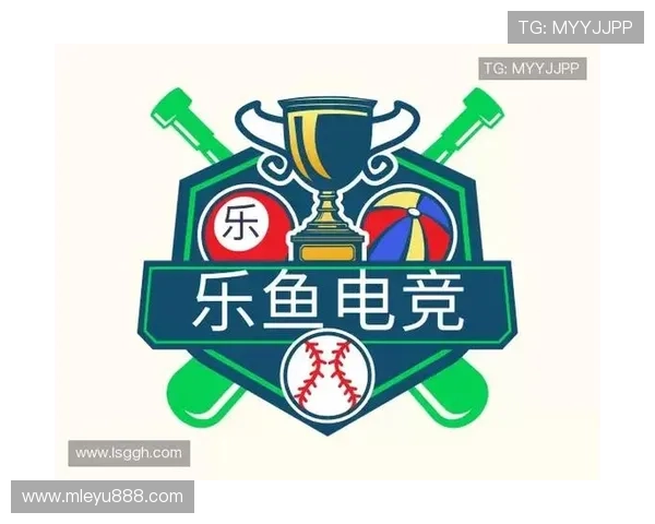 乐鱼电竞专业版：创新电竞赛事组织方式推动行业健康快速发展