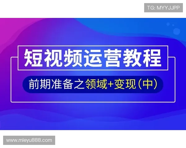 乐鱼体育地址登录入口官方入口指南，帮助用户轻松找到安全登录渠道享受体育娱乐