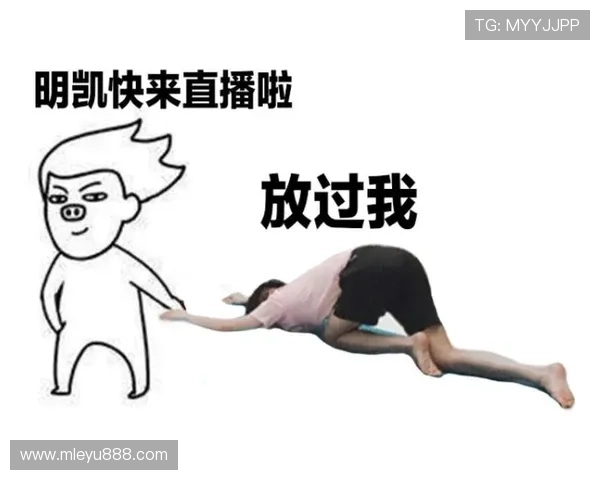 乐鱼体育官方赞助播出优化直播技术，确保赛事直播的稳定性与高清画质体验