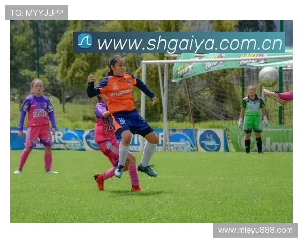 乐鱼官方手机官方网站不断优化用户界面设计，提升整体使用体验和操作便捷性