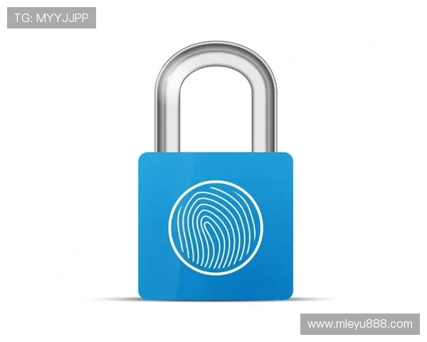 乐鱼登陆安全保障措施全面解析保障玩家账号信息安全与游戏体验